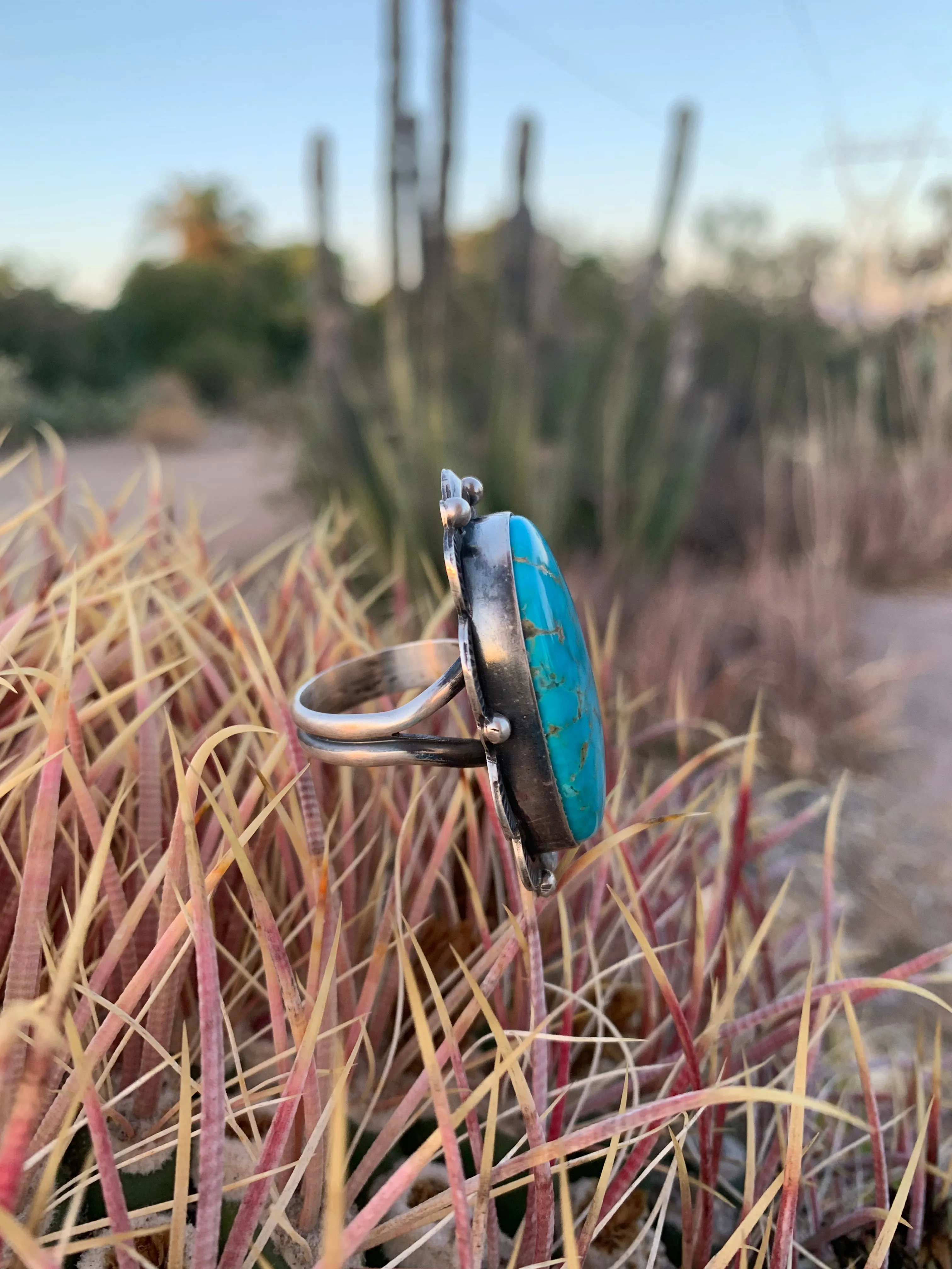 Adjustable Kingman Turquoise ring