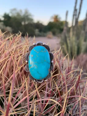 Adjustable Kingman Turquoise ring