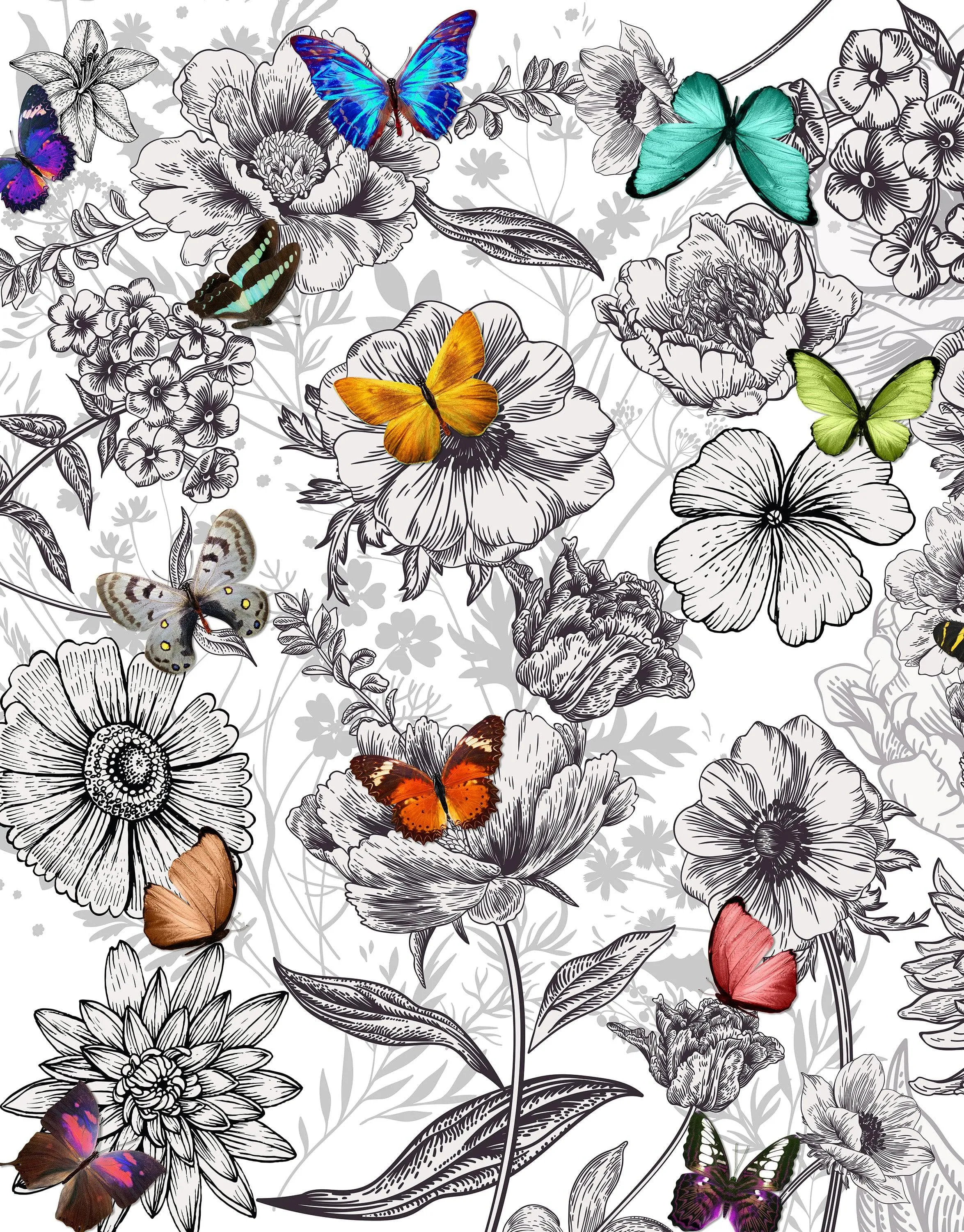 Butterflies in Flower Garden Wall Mural. Retro Black and White Illustration Floral Design. #6320