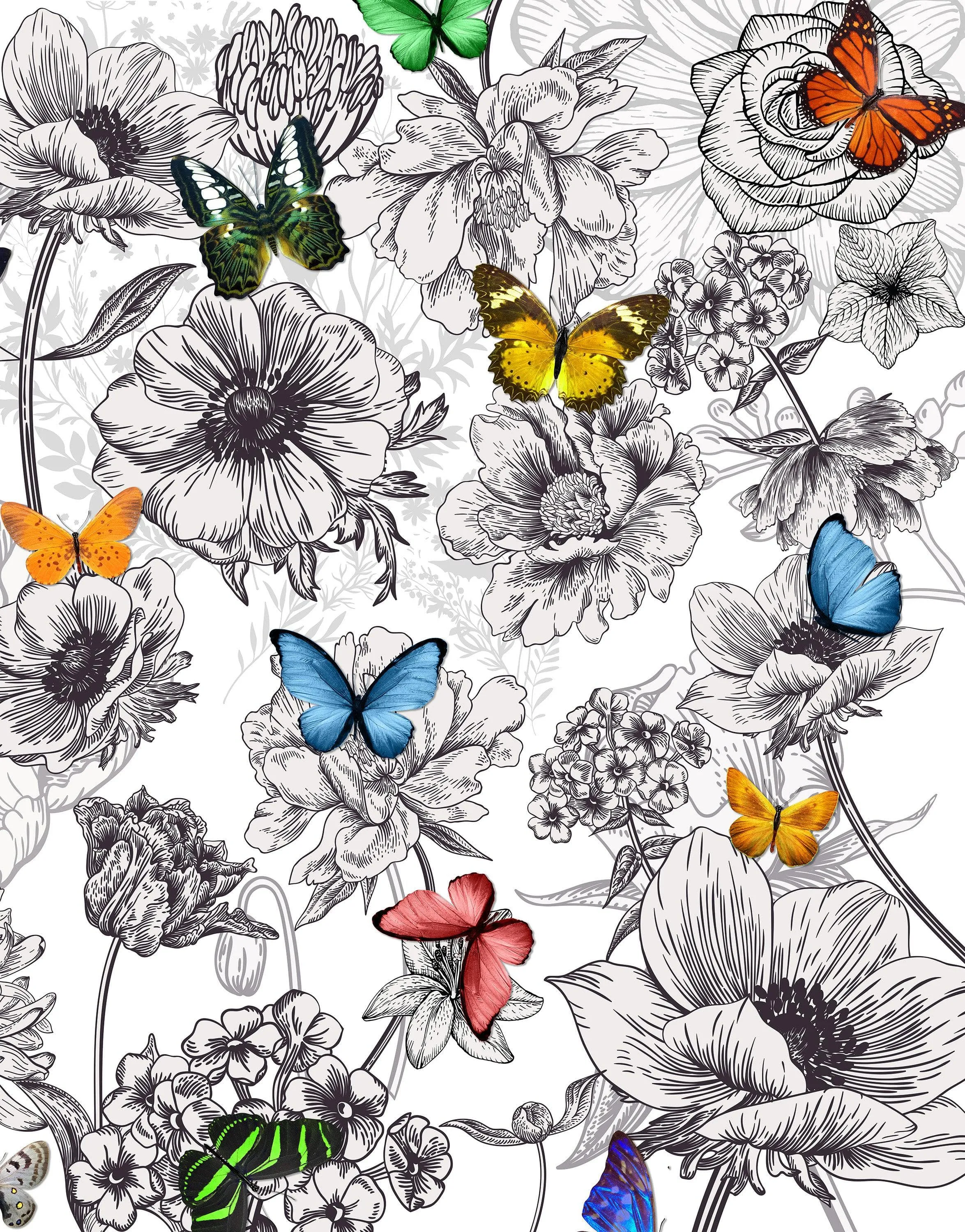 Butterflies in Flower Garden Wall Mural. Retro Black and White Illustration Floral Design. #6320