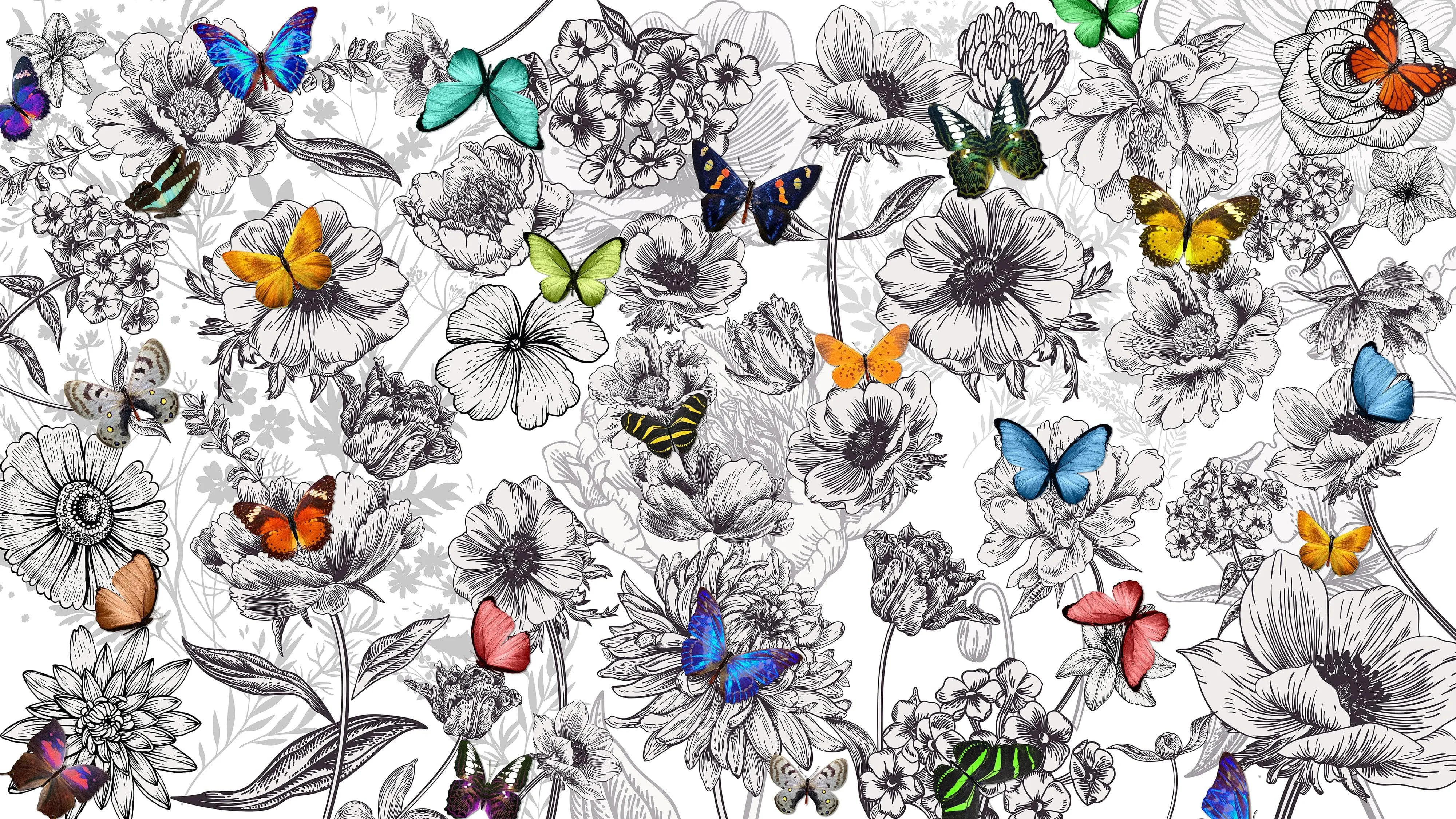 Butterflies in Flower Garden Wall Mural. Retro Black and White Illustration Floral Design. #6320