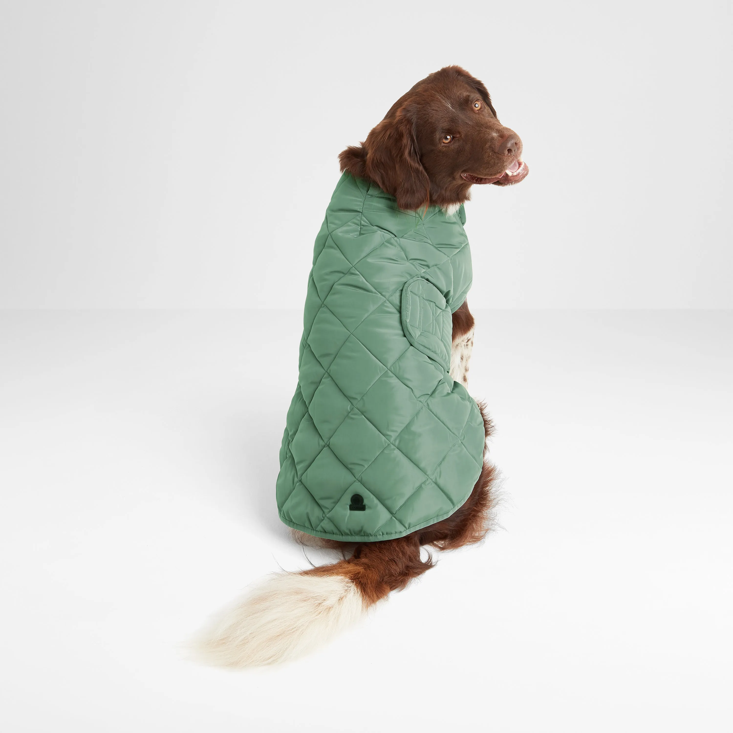 Fido Padded Dog Coat L - Faded Khaki