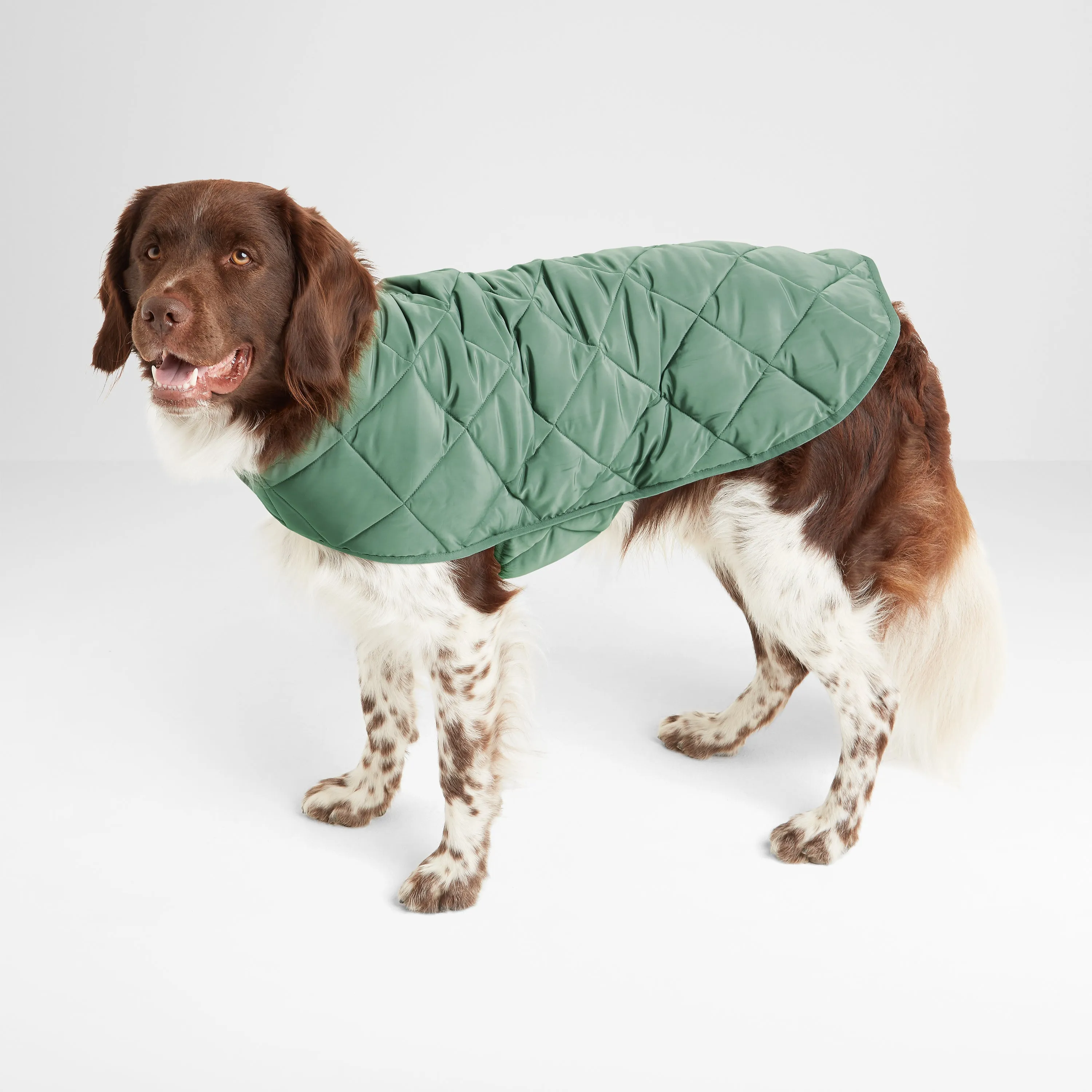 Fido Padded Dog Coat L - Faded Khaki