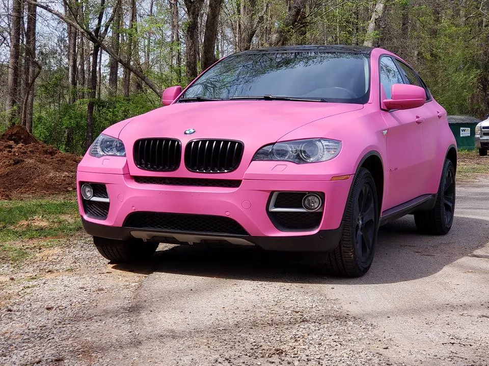 Fierce Pink Car Kit