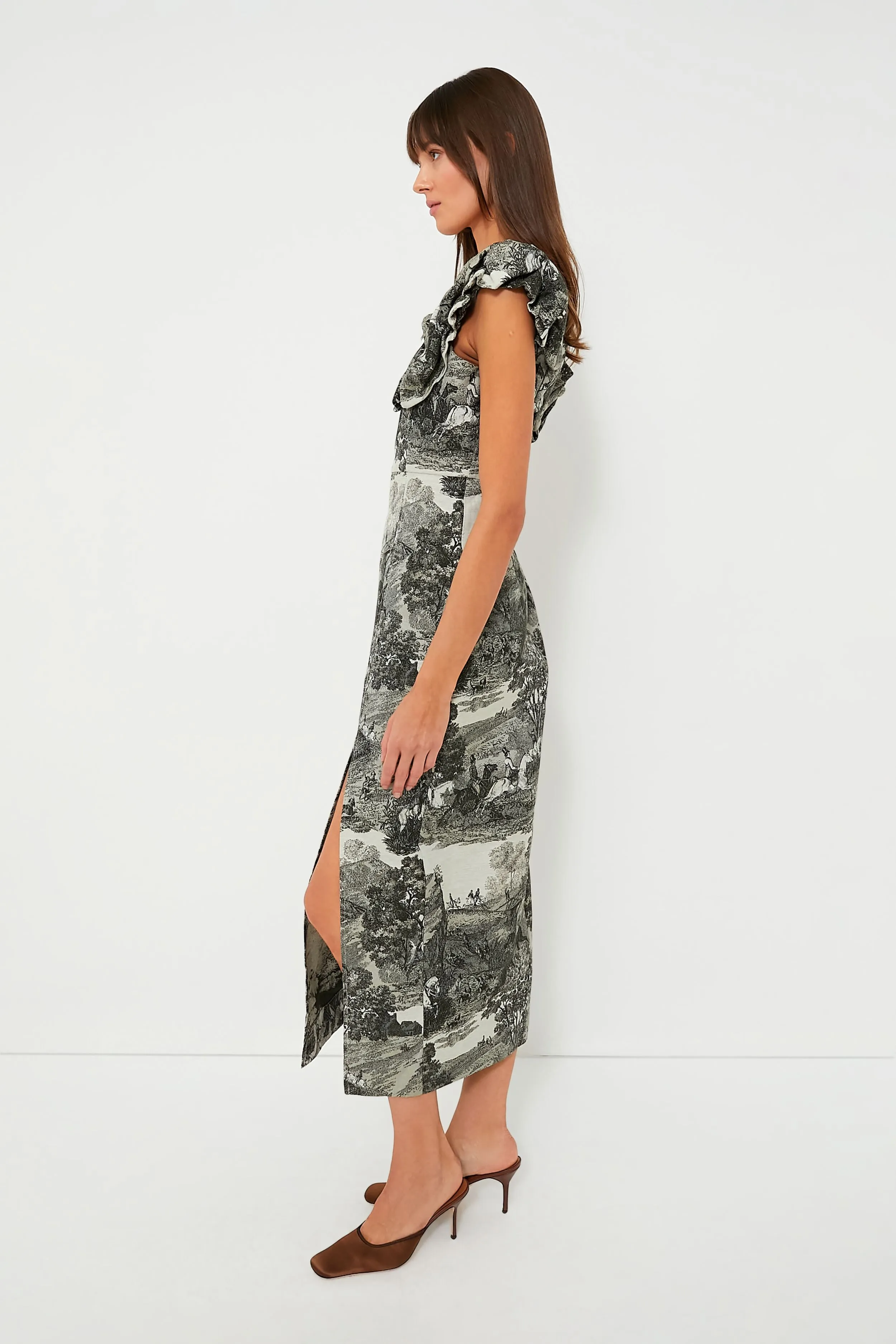 Middleburg Toile Suze Dress