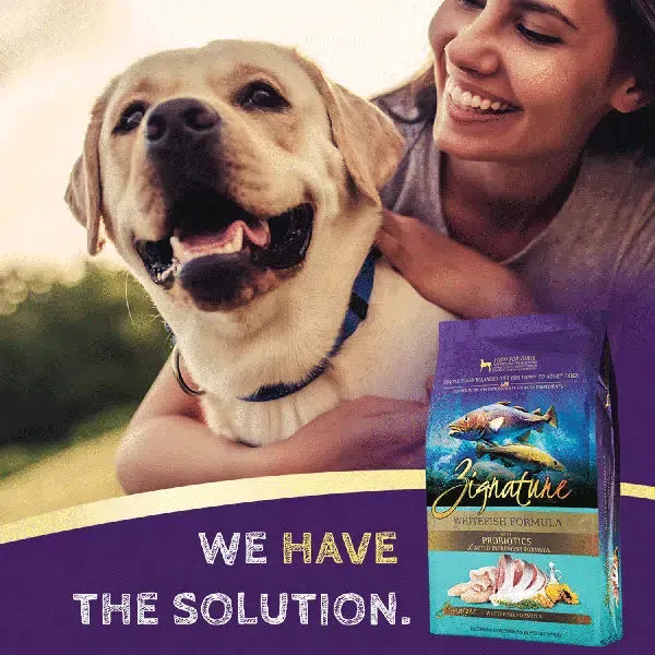 Zignature Limited Ingredient Whitefish Formula Dry Dog Food